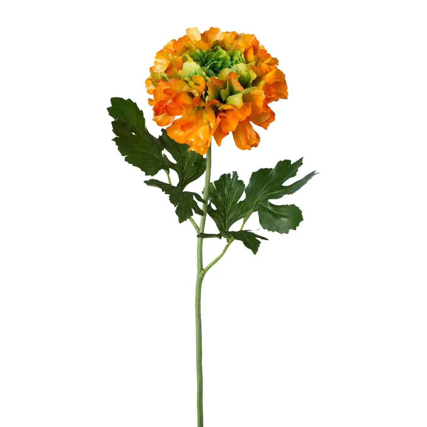 Ranunkel 60cm orange Orange Kunststoff ca. 60cm