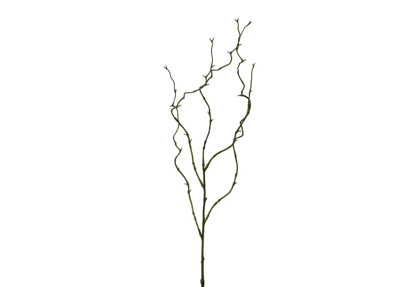 Weidenzweig 80cm 80cm