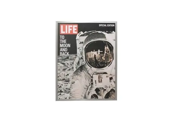 Bild 16493 Papier, Glas, MDF, Polyresin ca. 63x83x5cm