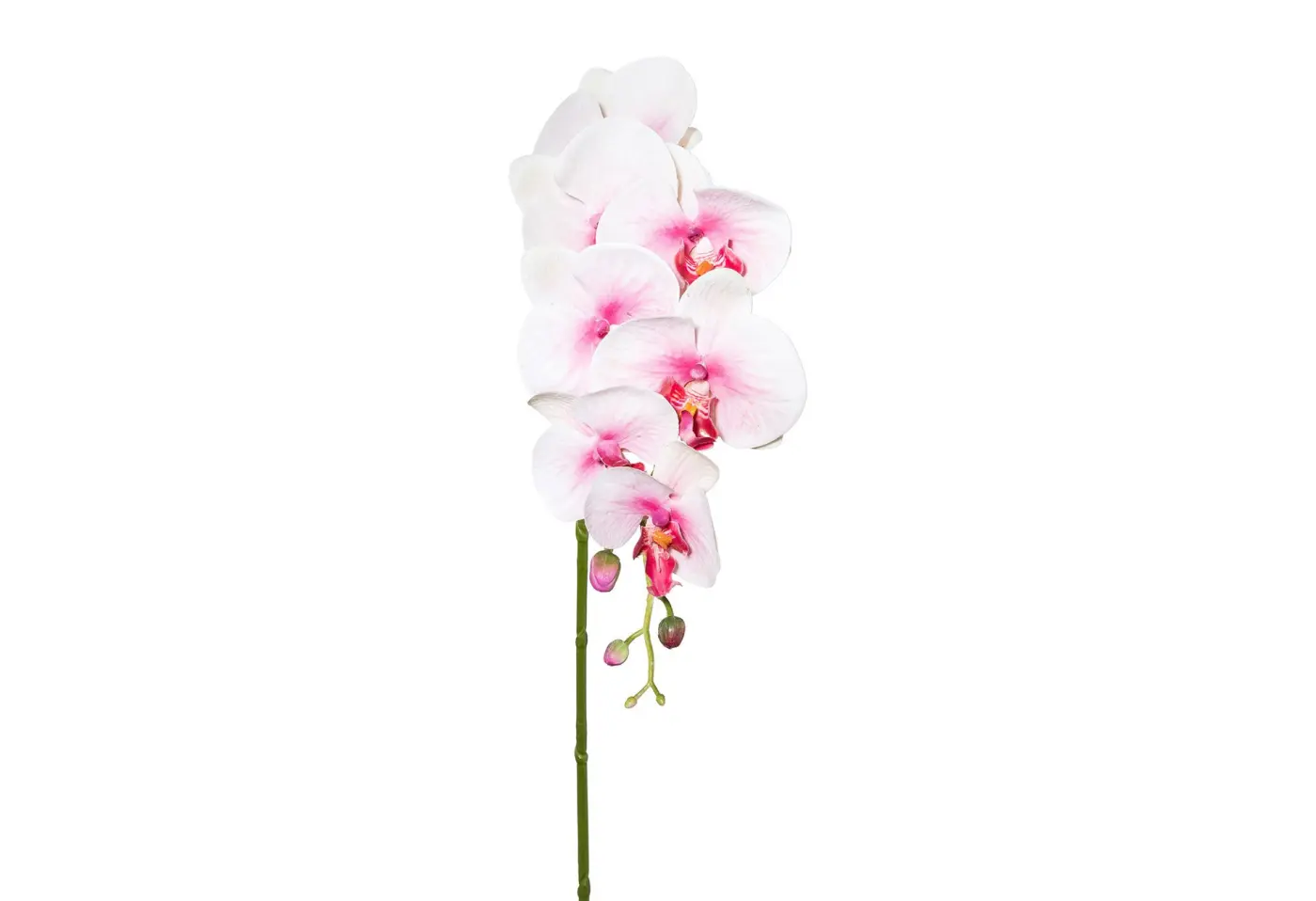 Phalenopsisx7 3D/87cm hellrosa