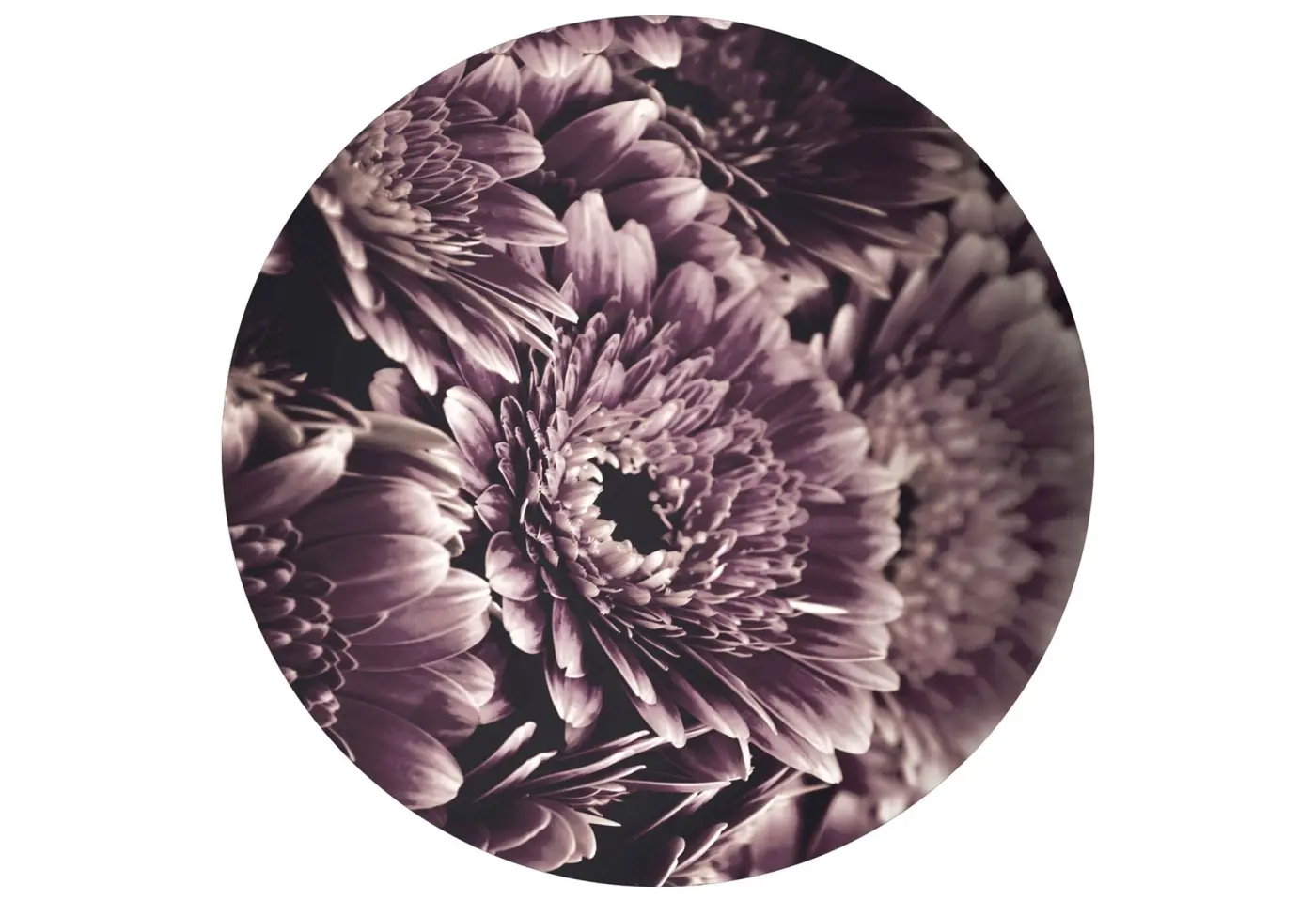 Digitaldruck 40cm Circle opulent