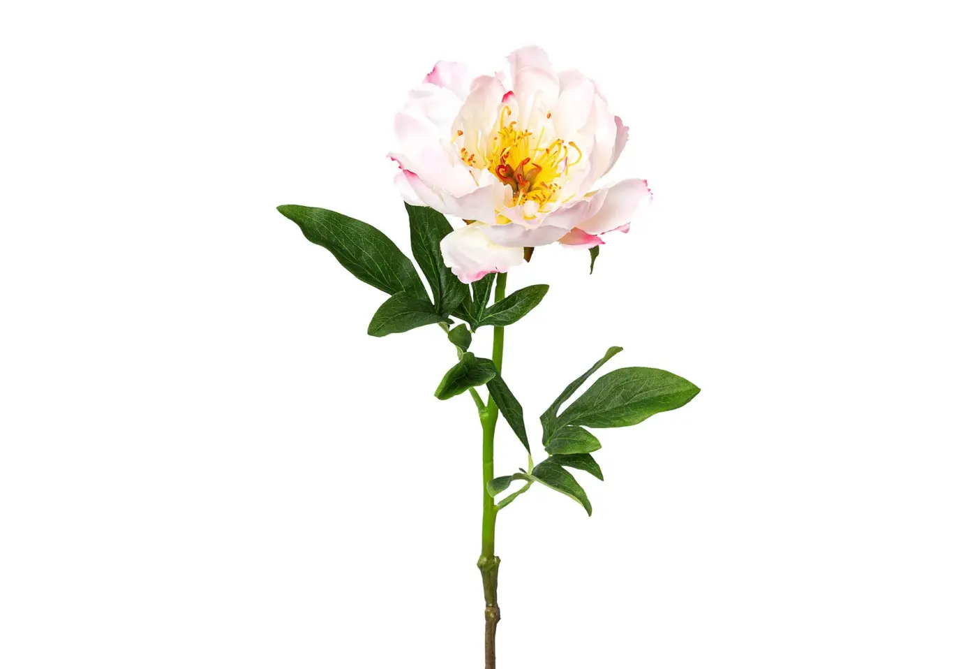 Peonie 51cm 51cm, rosa Rosa, Gelb, Grün Kunststoff ca. 51cm