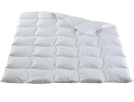 Ganzjahres-Duvet 8359 Daunen Camelia Premium 580 g ca. 160x210cm