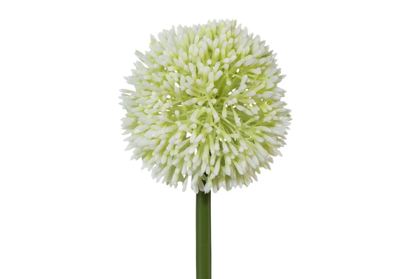 Allium 64cm weiss Weiss Kunststoff ca. 64cm