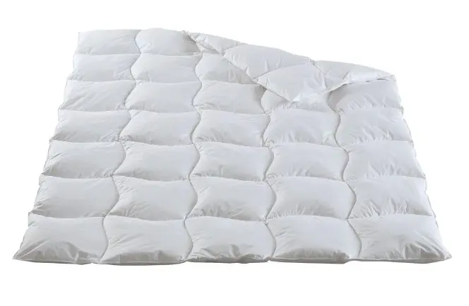 Ganzjahres-Duvet 10250026 Daunen Swiss 600 g ca. 160x210cm