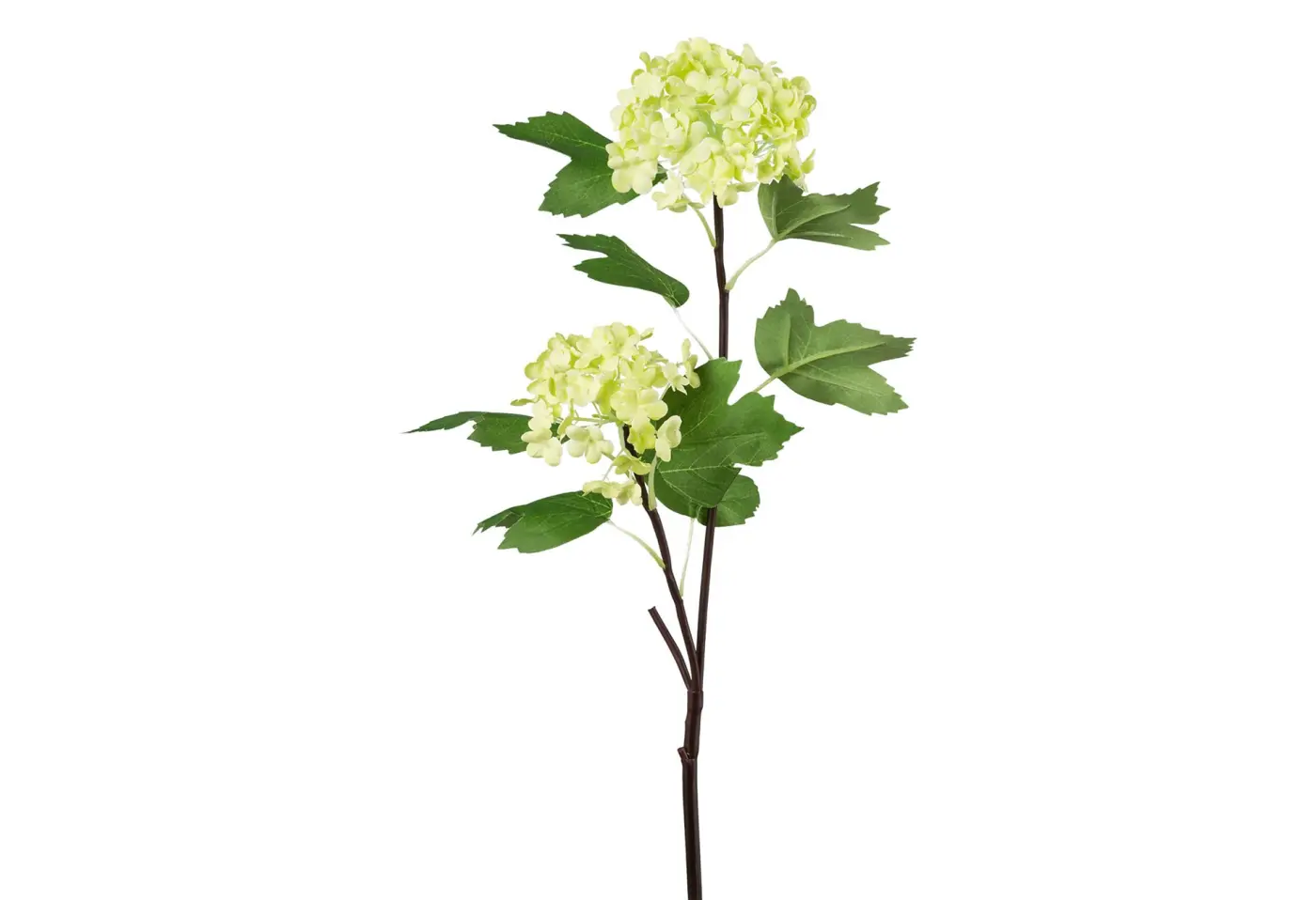 Schneeballzweig 49cm, grün Grün Deko-Stoff ca. 49cm