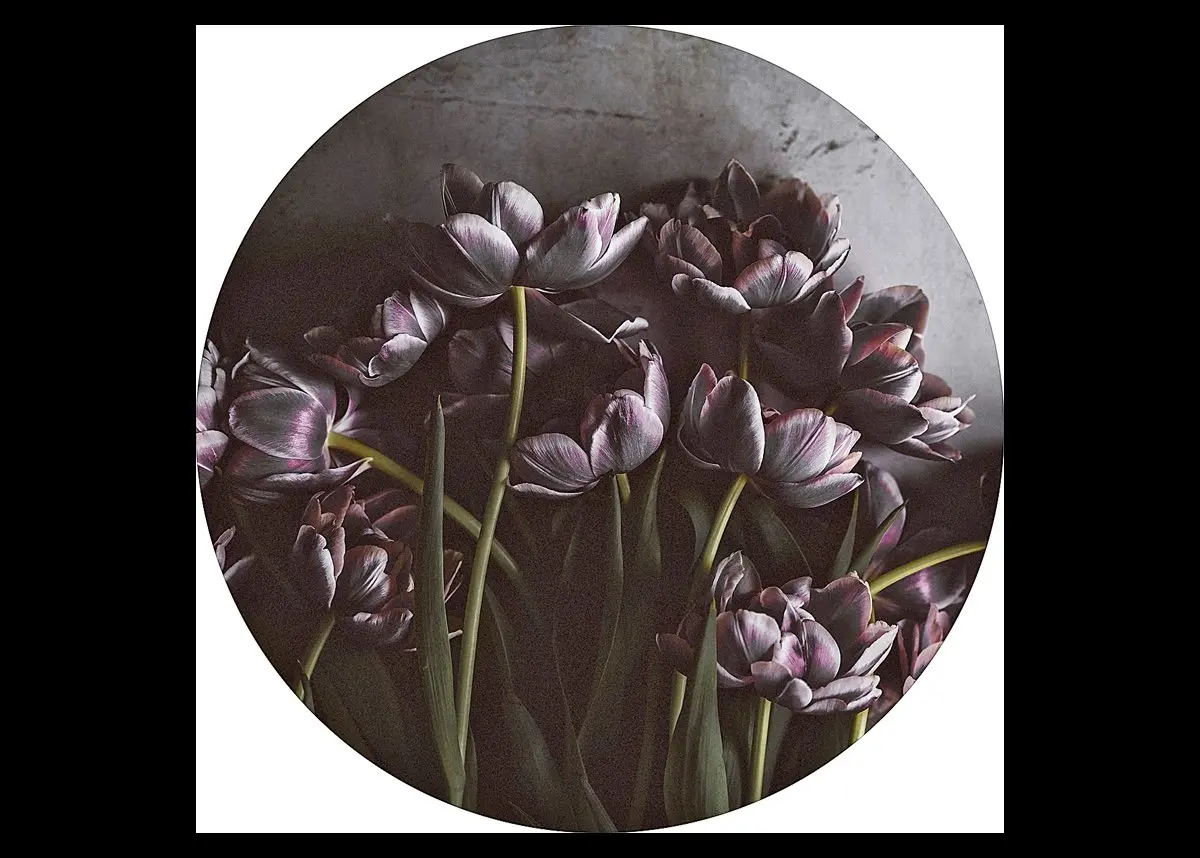 Digitaldruck 40cm Circle dark tulips